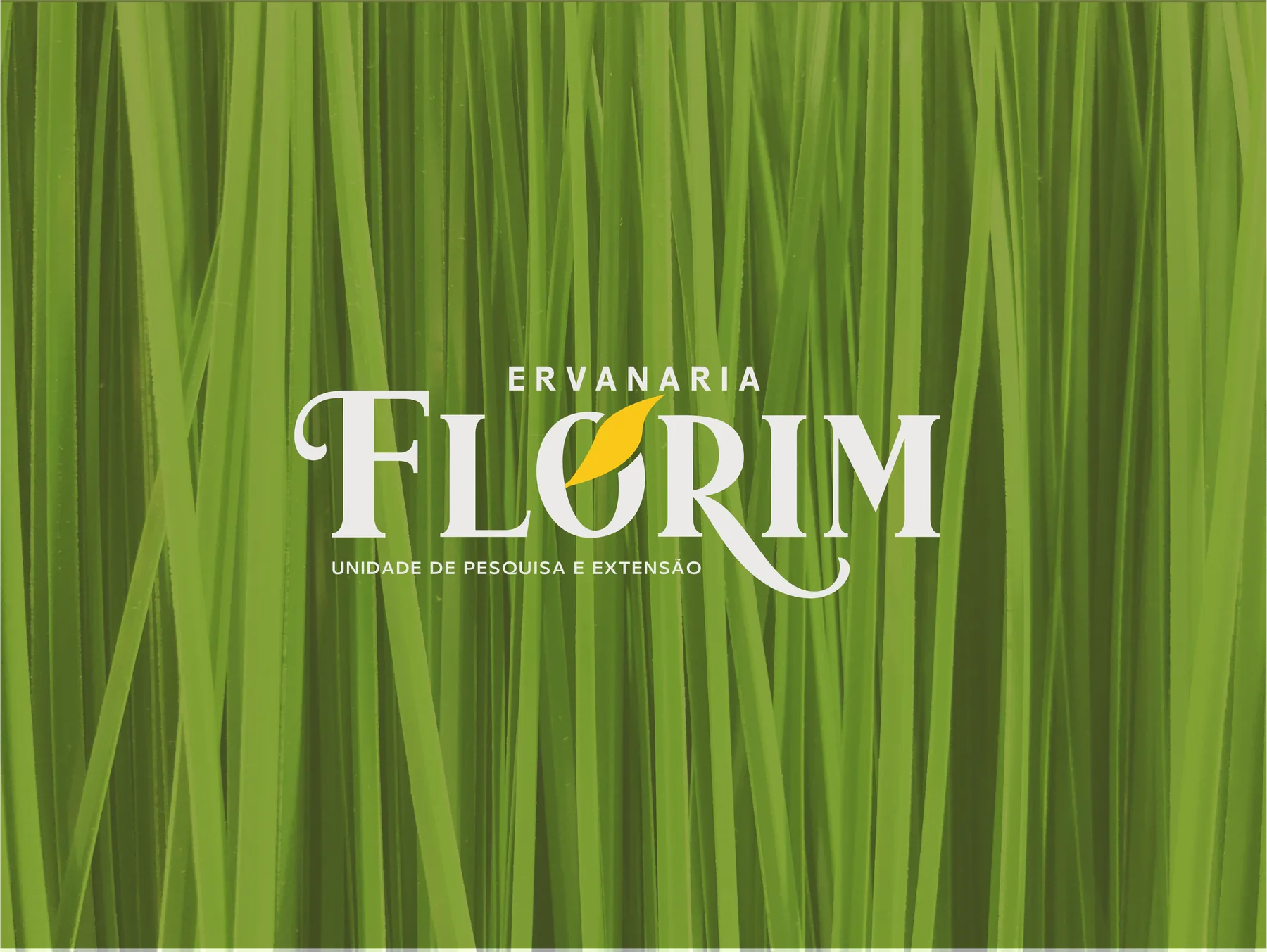 Marca Florim Ervanaria em branco sobre textura de capim-limão