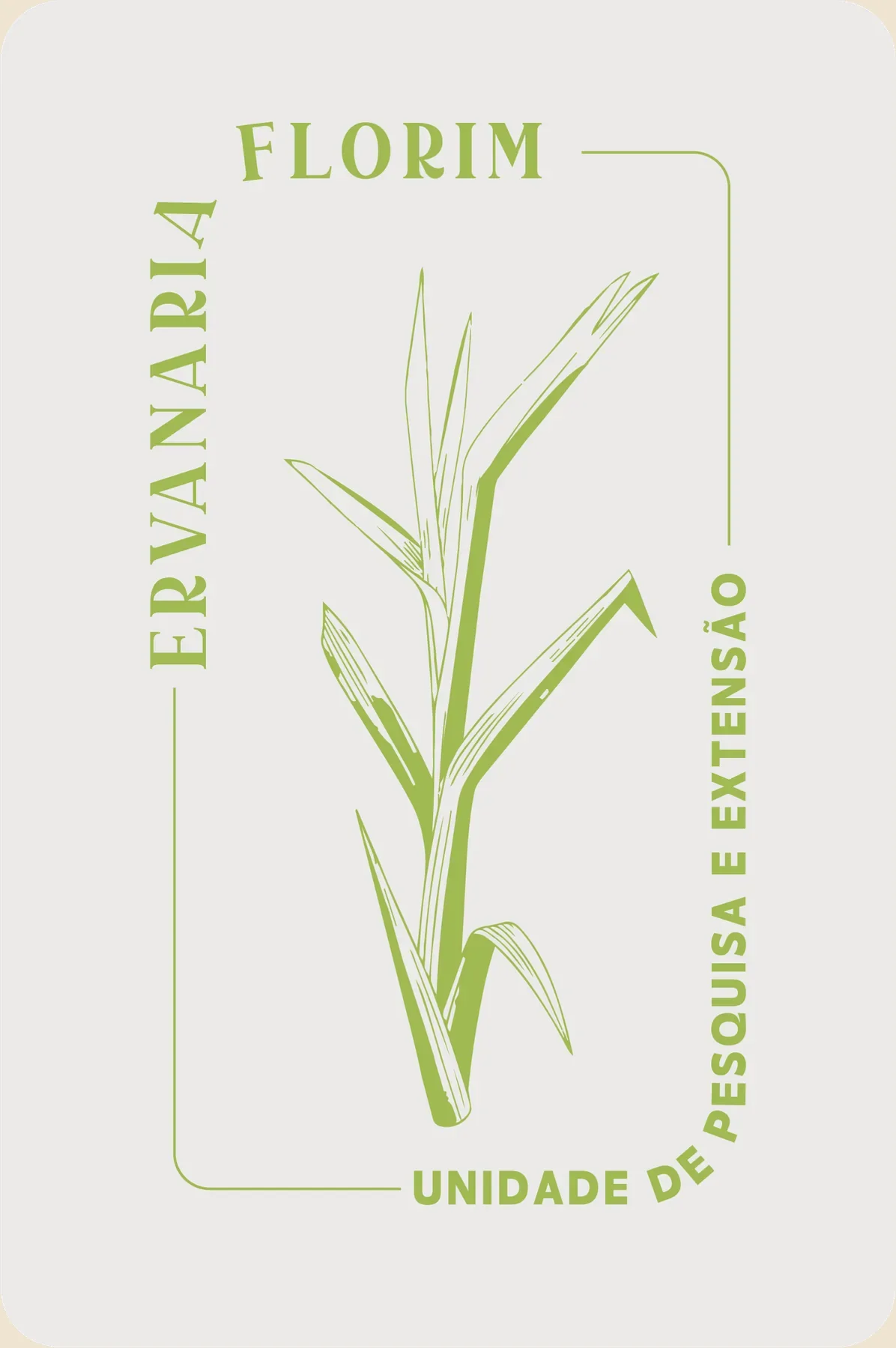 Cartão claro com a ilustração do capim-limão e os textos Ervanaria e Unidade de Pesquisa e Extensão